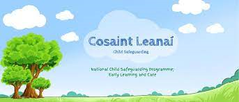 Cosaint Leanai National Safeguarding Org. png