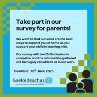 Irish survey 05 06 2025 thumbnail image